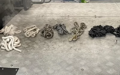 Adiós a los desperdicios: conoce la purga perfecta para cambios de color impecables en inyección y extrusión 