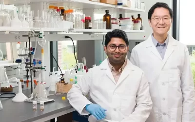 Utilizan bioplásticos a partir de lignina y CO₂ para crear Poliuretanos sostenibles