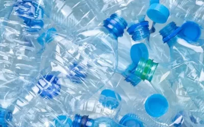 Científicos convierten residuos plásticos en paracetamol gracias a la bacteria E.coli