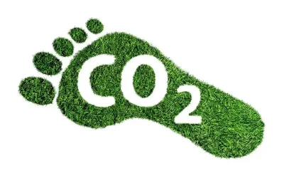 ¿Pueden los plásticos ayudar a absorber el CO₂?