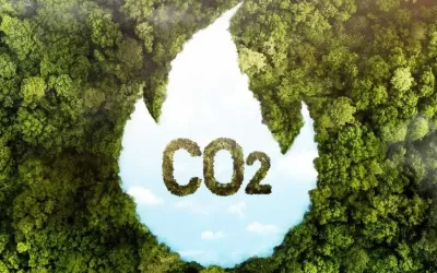 Científicos convierten el CO₂ de residuos de madera en plásticos sostenibles