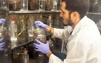 Microrganismos y virus podrían ser la clave para acelerar la biodegradación de bioplásticos