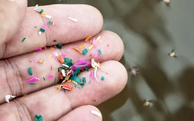 Micro y nanoplásticos: entender el reto para transformar la industria