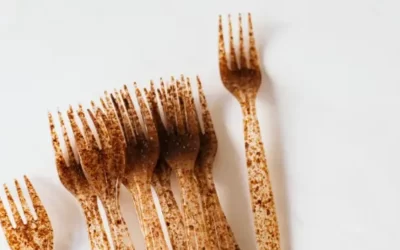 Bioplásticos en México: la economía circular encuentra una nueva generación de materiales