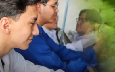 Hacia una nueva generación de biomateriales: entrevista exclusiva con los creadores de un bioplástico mexicano